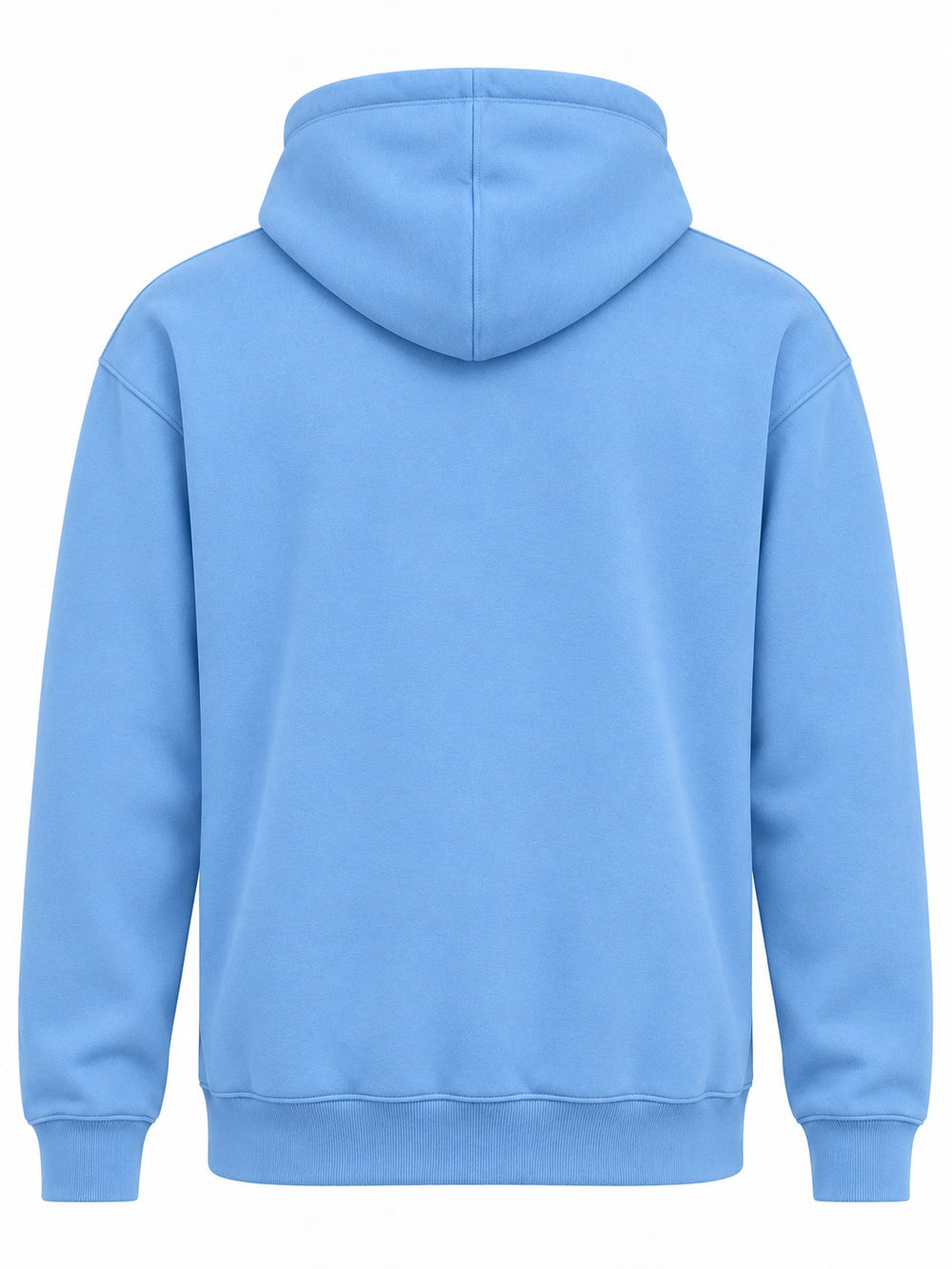 Back view of the Paper Coast sky blue DTF print hoodie with plain back