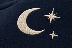 Close-up of the embroidered decoration on the Crescent Studio midnight navy embroidered boxy hoodie