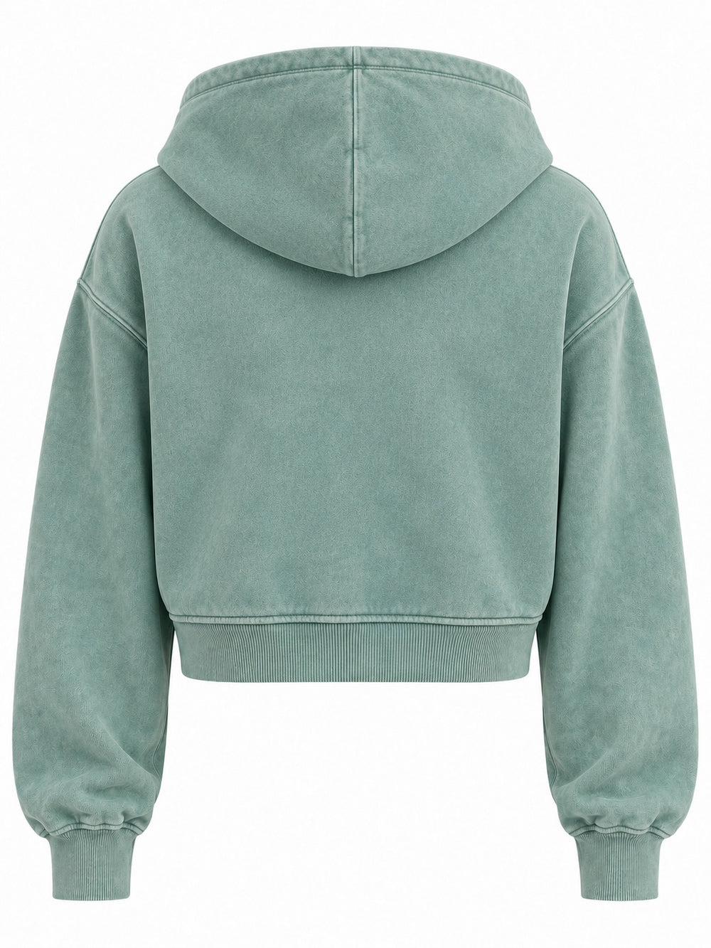 Back view of the Tide Mark seafoam mineral wash cropped half-zip hoodie with plain back